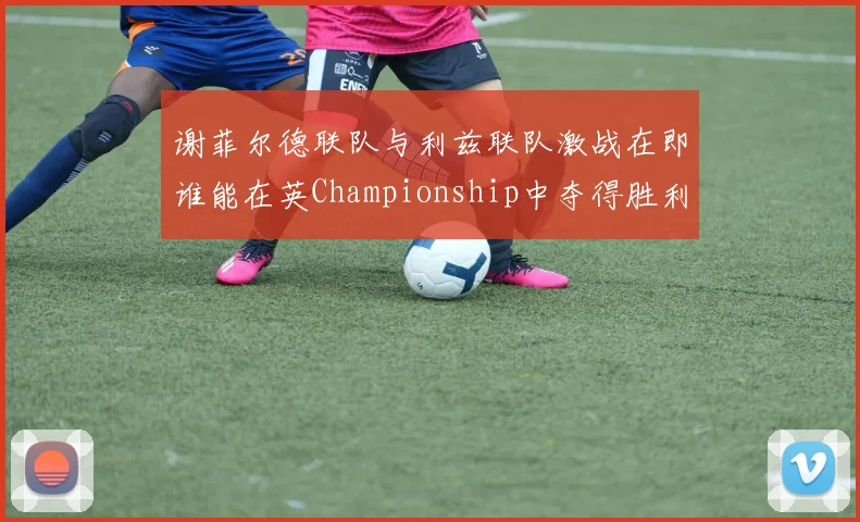 谢菲尔德联队与利兹联队激战在即谁能在英Championship中夺得胜利