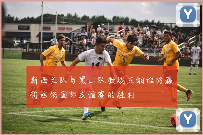 新西兰队与黑山队激战正酣谁将赢得这场国际友谊赛的胜利