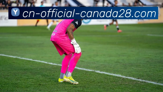 加拿大28平台生态图